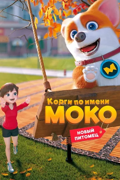 Постер Корги по имени Моко. Новый питомец